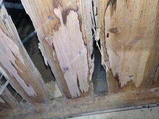 現役職人がシロアリ・床下工事の見積もりを鑑定します 不要な高額工事を見抜く！現場目線の安心セカンドオピニオン イメージ9