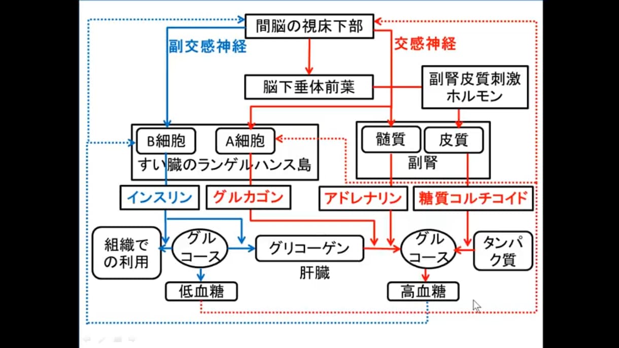 進学校1位が高校生物、化学、わかるまで教えます 生物、化学を解いていてわからないことがあるあなたへ！ イメージ1