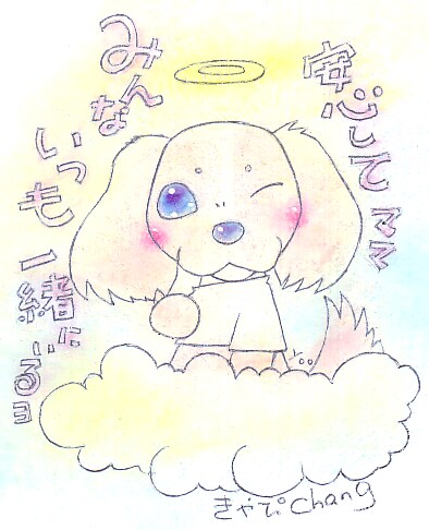 カードを開いて亡くなったペットの声お届けします ペットロス。失った痛みがまだ癒えないあなたへ。 イメージ2