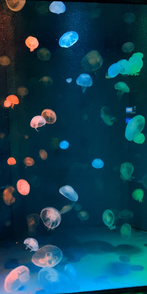 風景の写真を撮ります 最高の写真作品になるようにひとつひとつ心を込めて。 イメージ9
