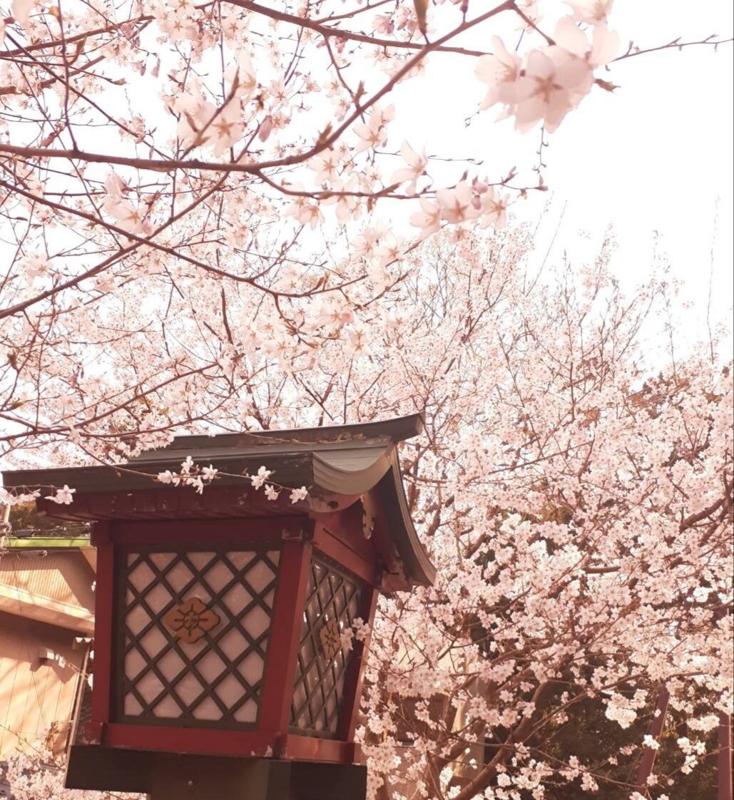 写真素材提供します 空や植物などの自然の写真が好きな人へ イメージ2