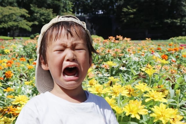 子育てSOS‼︎日々の疲れや発達の相談乗ります ママ薬剤師カウンセラーがワンオペ疲れや子育て全般相談乗ります イメージ4