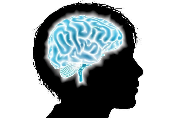 頭が良くなる方法を教えます 最新のエビデンス満載‼️脳科学に基づいた様々な方法を伝授‼️ イメージ1