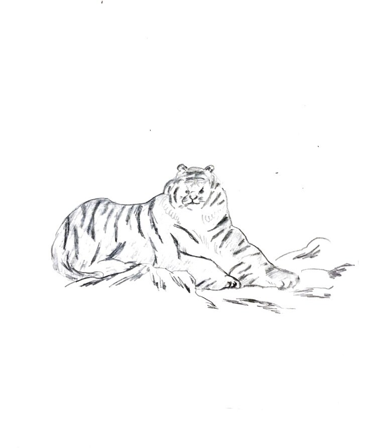 手描き風ゆる〜いもふもふ動物の絵を描きます アイコン、挿絵などに使えます◯ 商用利用ご相談ください イメージ8