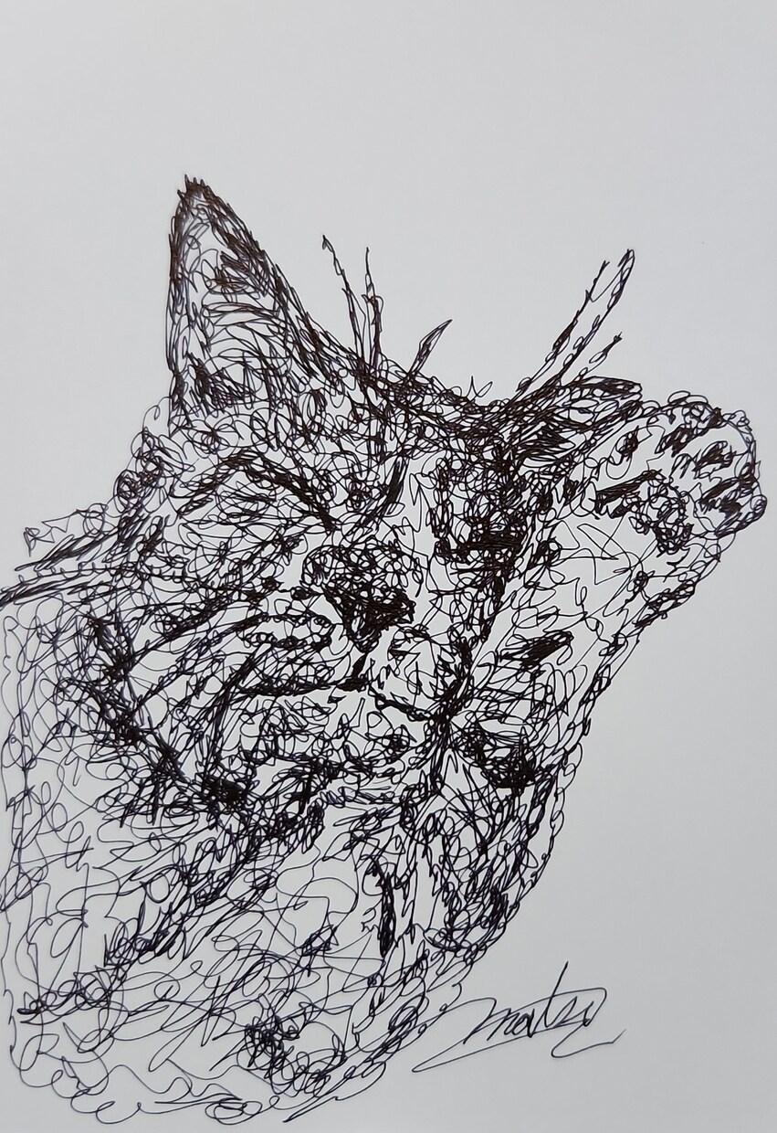 ペットをお飼いの方、似顔絵を描きます ボールペンだけで、一筆書きの、動物を描いています。 イメージ5