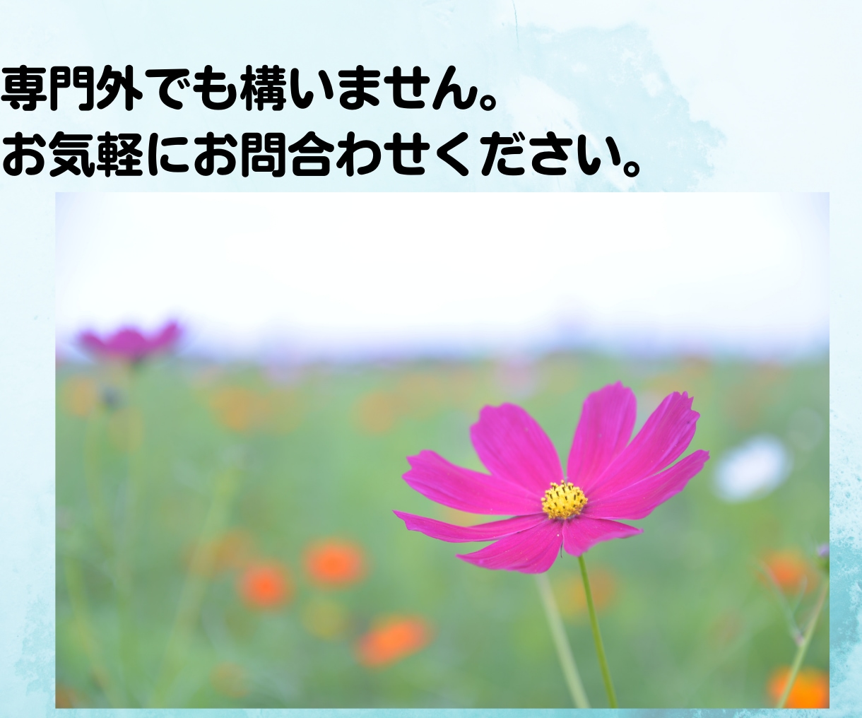 話を聴いてほしい!どんなお話も全力でお聴きします 現役生活相談員。国家資格複数保持。安心してお話ください。 イメージ6