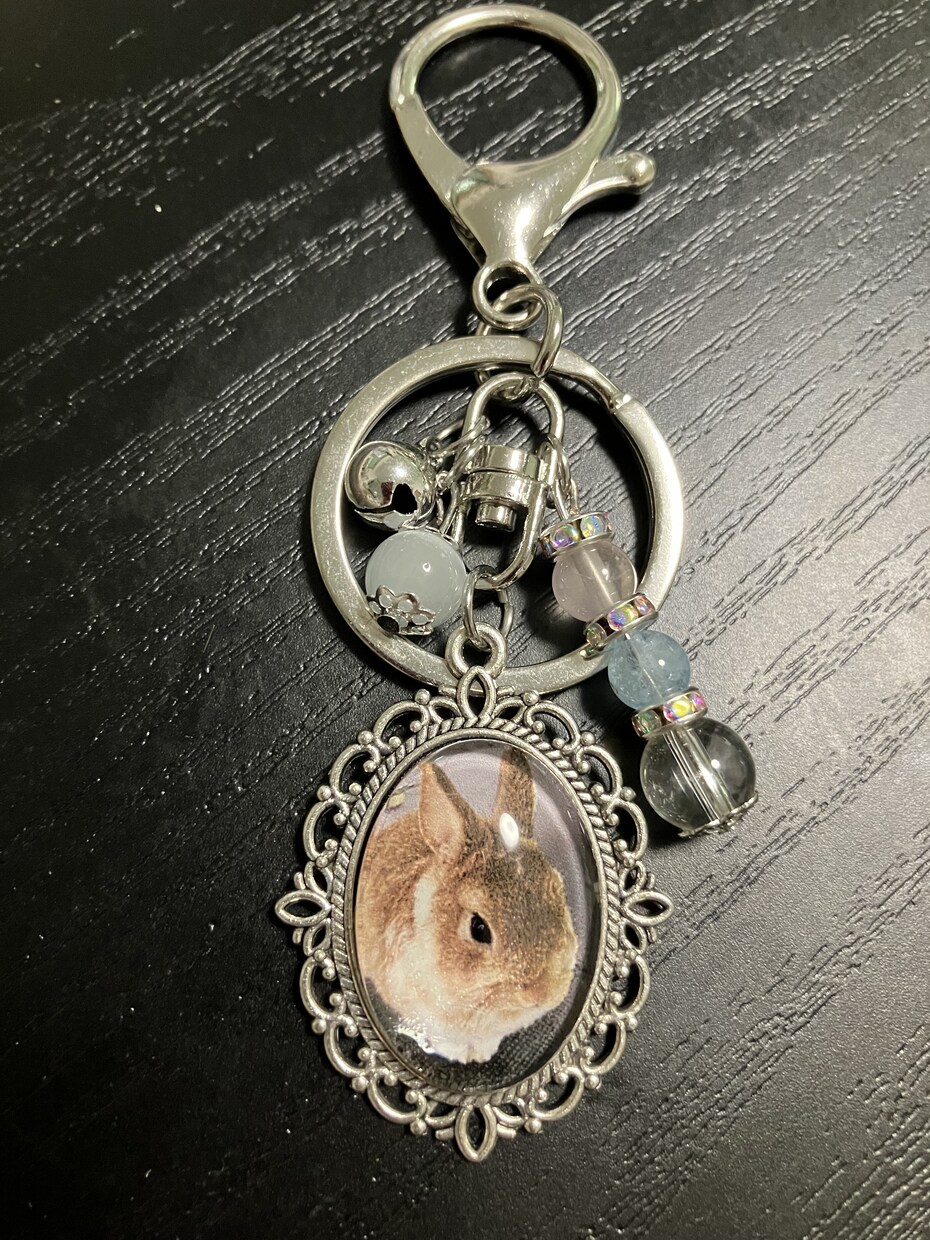 うちの子を天然石と共にキーホルダーにします 世界に一つだけのあなたの家族を天然石と共に✨️ イメージ1