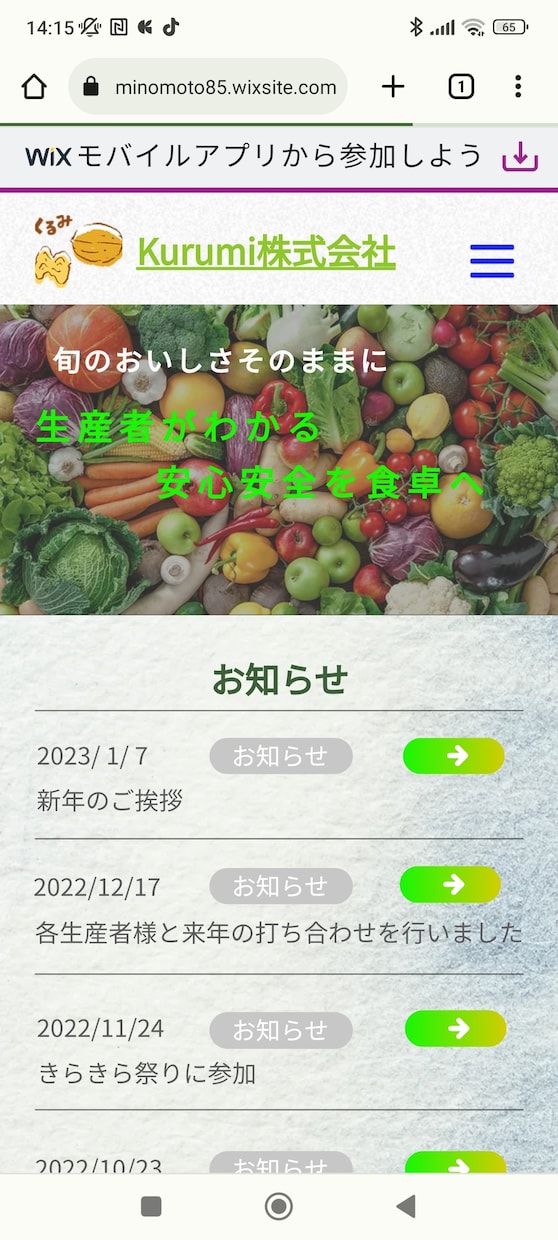 Wixにてご希望に沿ったのホームページ作成します 丁寧、迅速に心込めて作成します イメージ7