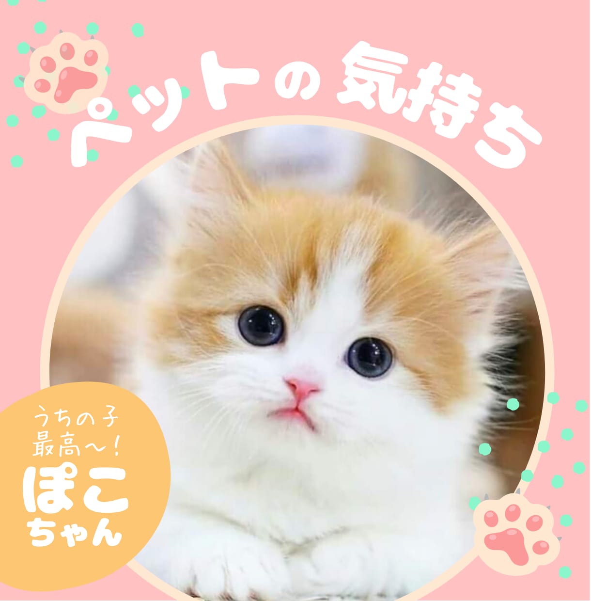 あなたのペットが伝えたい気持ち・言葉をお伝えします ♡あなたにだけ伝えたい、あの子の本音を届けます♡ イメージ1