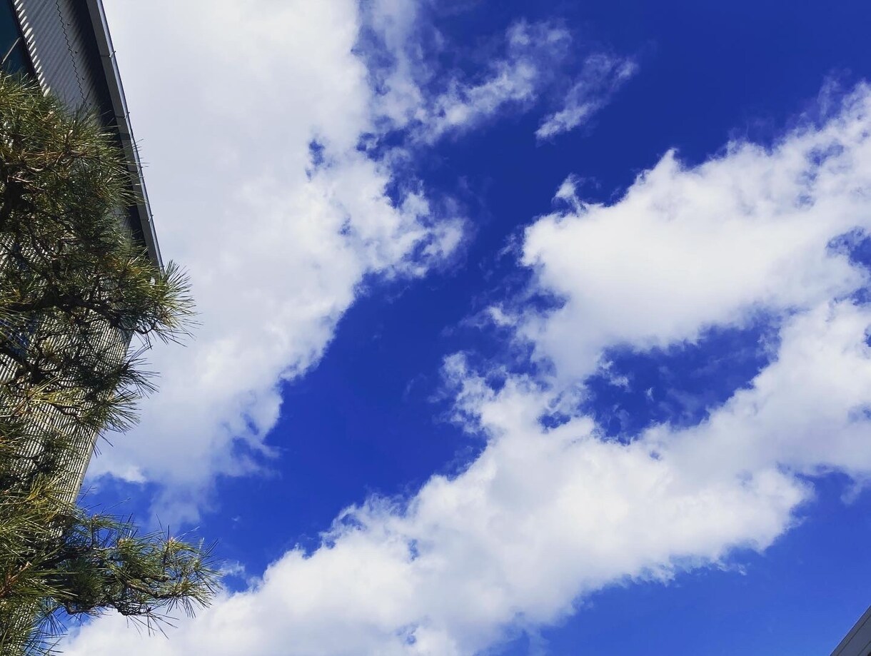 悩みや愚痴を何でも聞かせていただきます 何か仕事や恋愛なんかで疲れている時にもってこい。 イメージ2