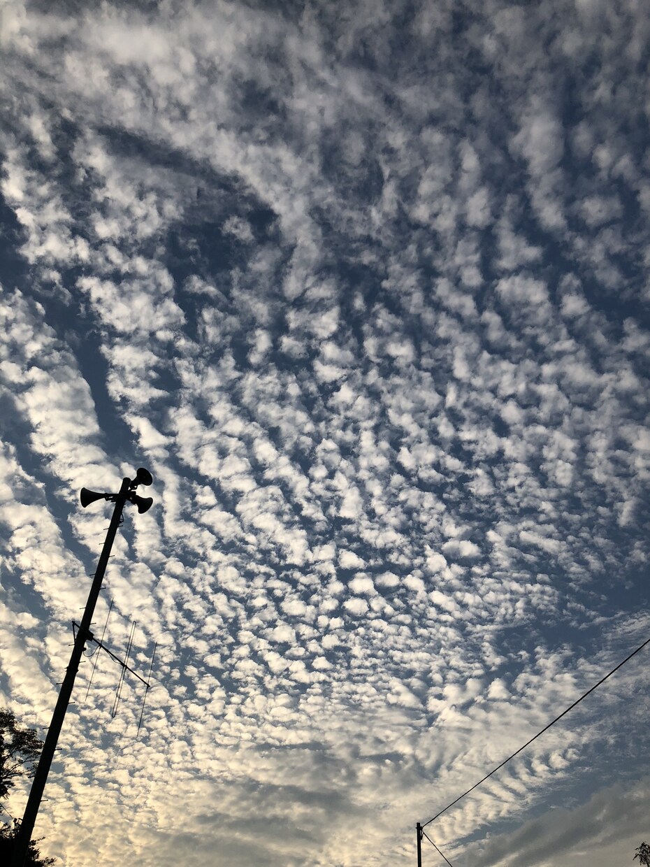 自分が撮った好きな写真を載せます 誰かの目に止まって一緒に共感して貰えたら嬉しいです イメージ9