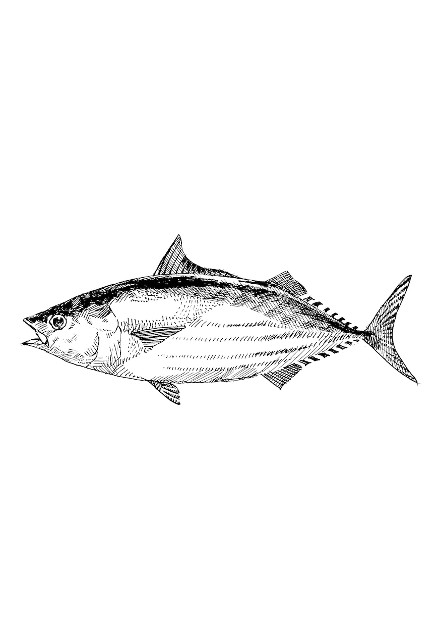 手描きメニューやパッケージに最適なイラスト描きます 生成AIでは表せないぬくもりあるタッチで料理などを描きます。 イメージ3