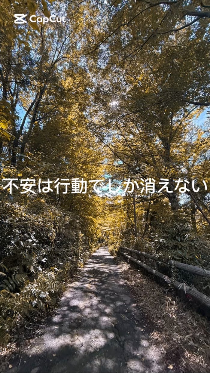 SNSに使える 3本セットの動画 を制作します 名言・写真・動画を使った短尺ショート動画 3本セット イメージ2