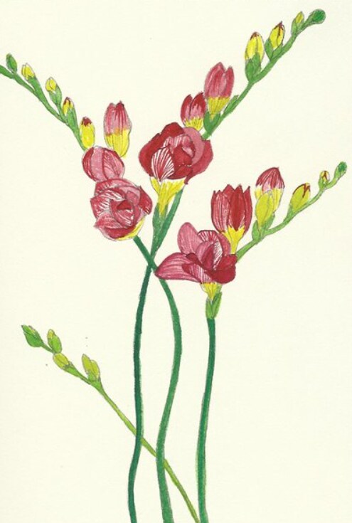 植物のイラスト受け付けます 絵本、チラシ、ウェルカムボードなどにいかがですか？ イメージ2