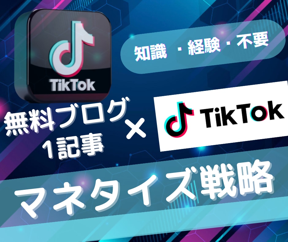 初心者でもTikTokで継続的に稼ぐ方法教えます 知識・経験・不要！アフィリエイトマネタイズ戦略 イメージ1