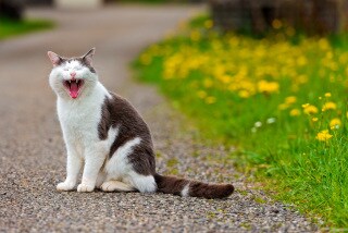 愚痴や相談など、話し相手になります あなたのお話聞かせてくださいヽ(´ー｀)ﾉ イメージ1