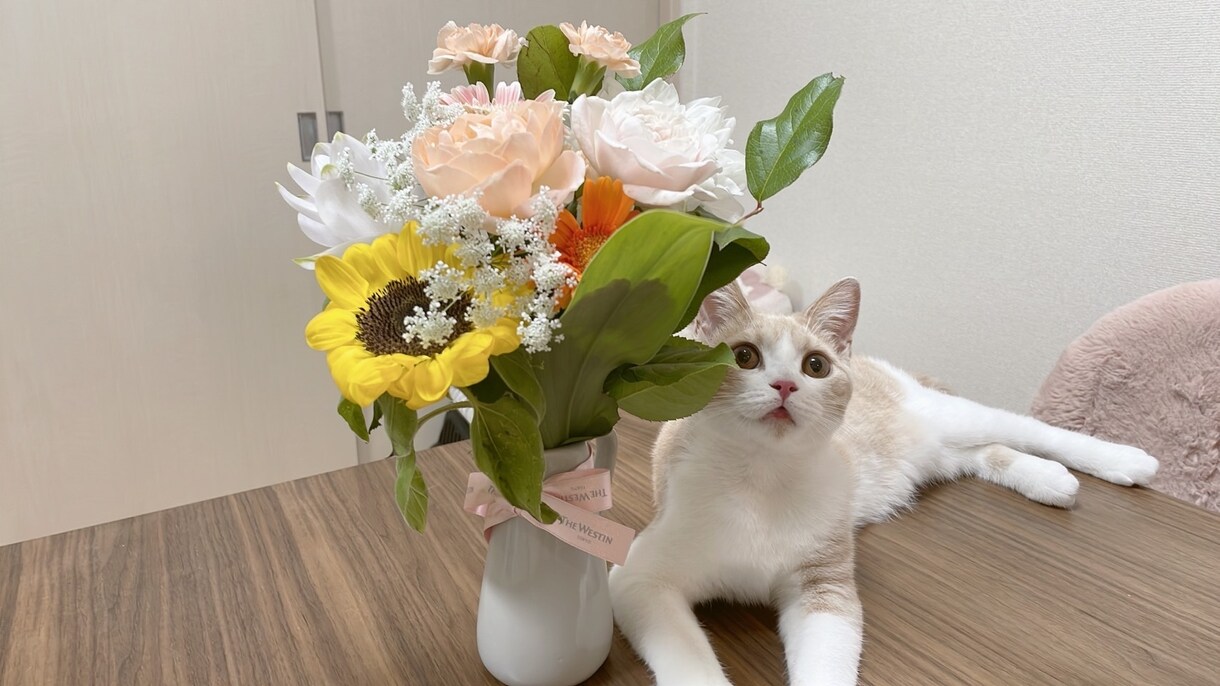 あなたのお悩み聞きます 誰かに聞いて欲しい！そんな気持ちに寄り添います(*^^*) イメージ1