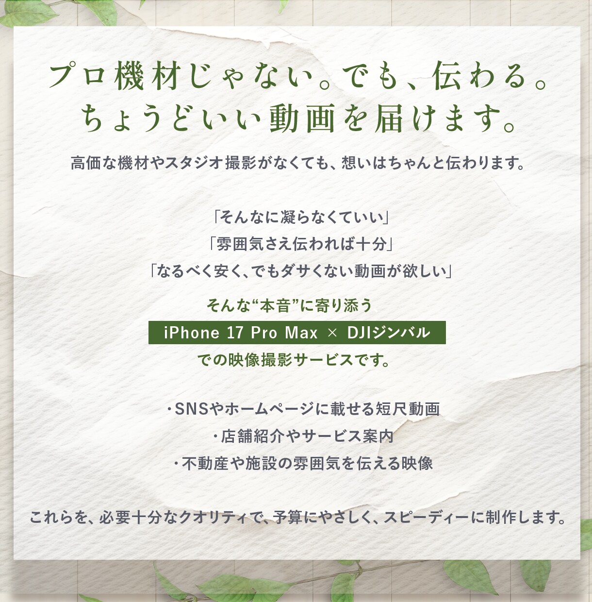 最新iPhoneとジンバルで動画撮影&編集します 「こういうのでいいんだよ」って必要十分な映像撮影&編集します イメージ2