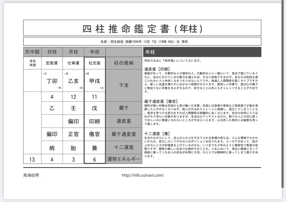 リピーター様専用‼️四柱推命鑑定書12枚作成します あなたの運命✨占いの帝王‼️生年月日から導かれる資質, 運勢 イメージ3