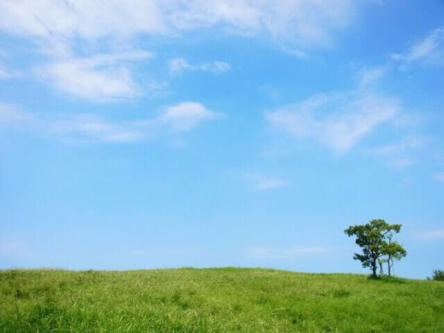 抱えきれない感情を吐きたい方へ お話付き合います 好きなだけ貴方の感情をぶつけてください。 イメージ1