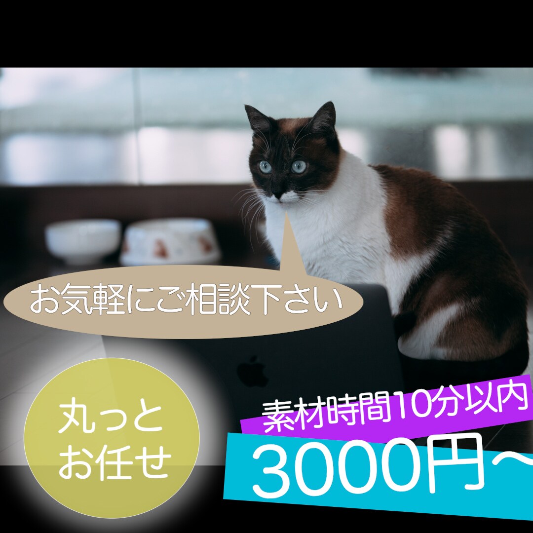 元TVディレクターが動画制作をお受けします ジャンル問わず承ります！ご相談だけでもOK◎ イメージ1