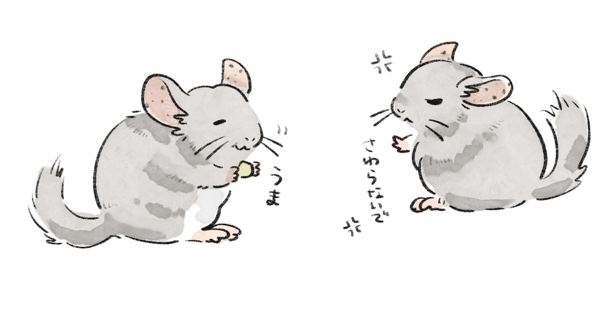 小動物、爬虫類、犬、猫…etcペットお描きします ゆるふわで可愛く大切なペットちゃんたちをお描きします❁¨̮ イメージ2
