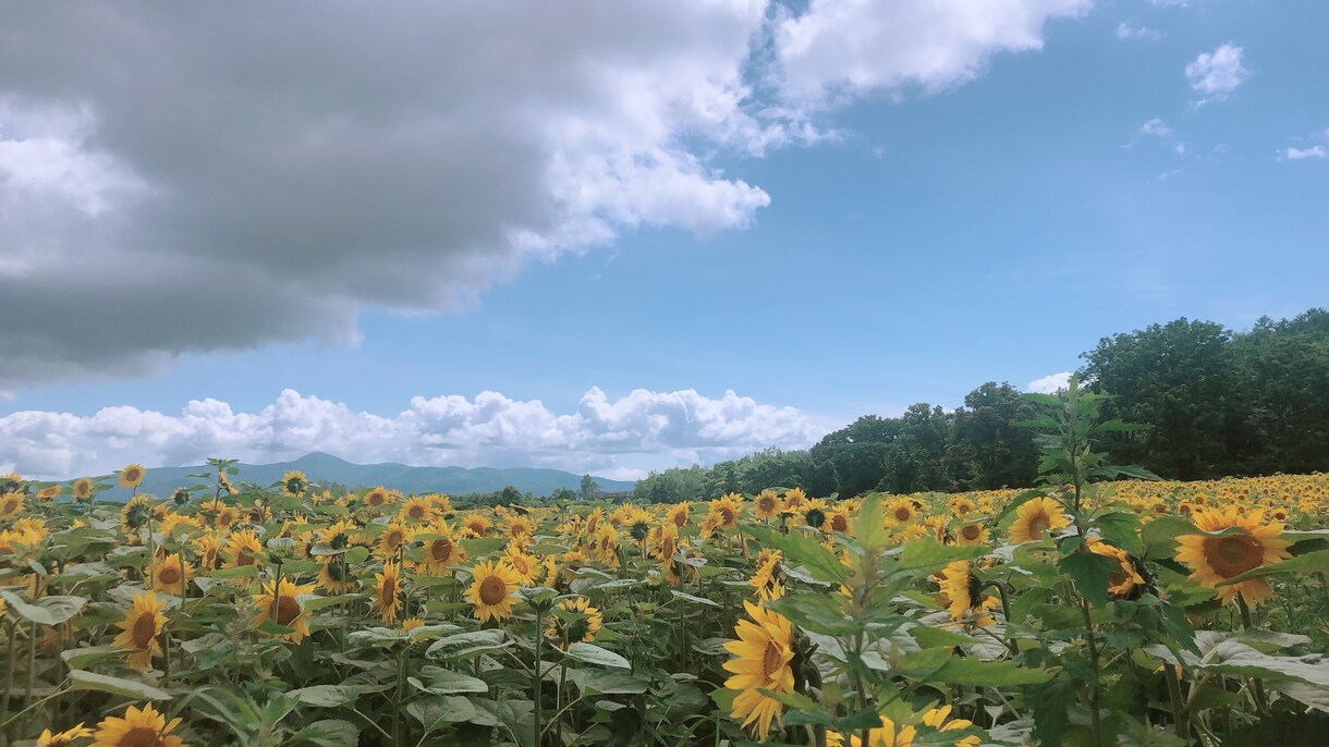 札幌移住を検討中の方にメリデメをお伝えします 東京で14年働いた後、札幌へ移住した経験談 イメージ1