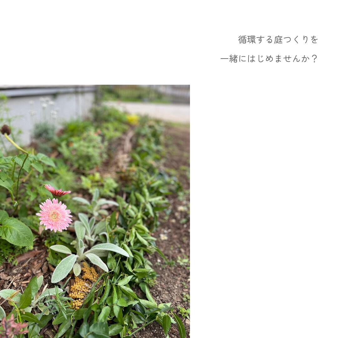 循環する庭作りの相談にのります 農薬や化学肥料に頼らない庭作りを一緒に考えましょう イメージ9
