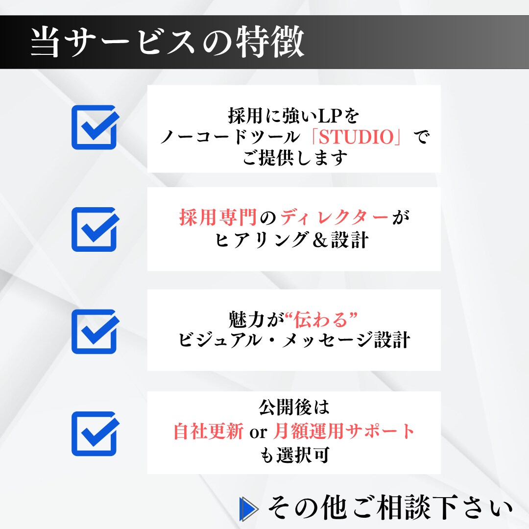 採用に強いLPを作ります 人事経験者が丁寧にヒアリングします イメージ2