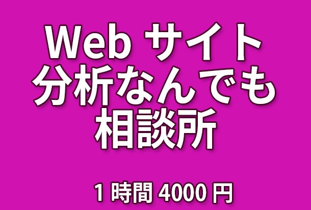 Webサイト解析・分析なんでも相談にのります アクセスログの見方から設定方法まで イメージ1