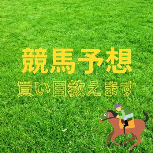 競馬歴10年予想教えます 調教と返し馬、パドックで競馬予想します。 イメージ1