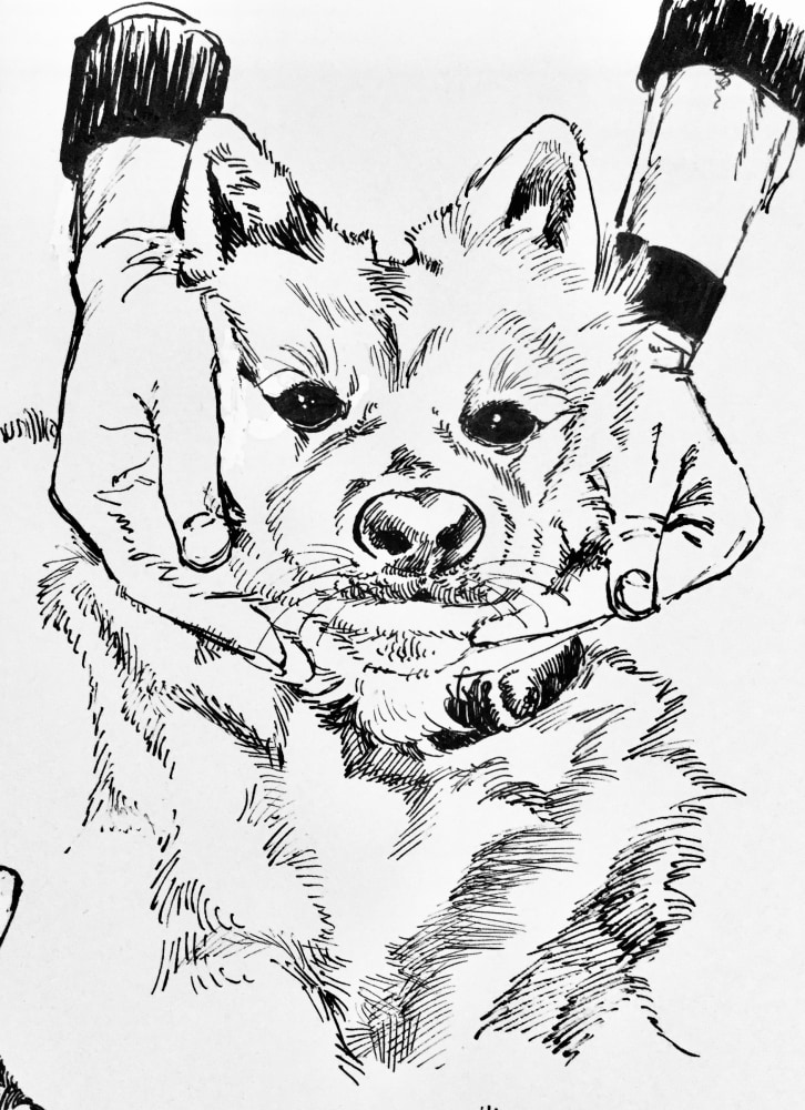 アナログ、デジタル両方イラスト描けます 生き生きとした人物の表現、手描きの良さを出すのが得意 イメージ10