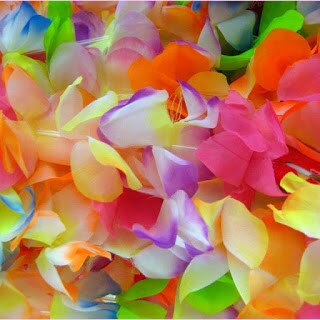心のバランスを整えるお手伝いをします あるがままでいいのです☆彡方向を決めるだけです☆彡 イメージ1