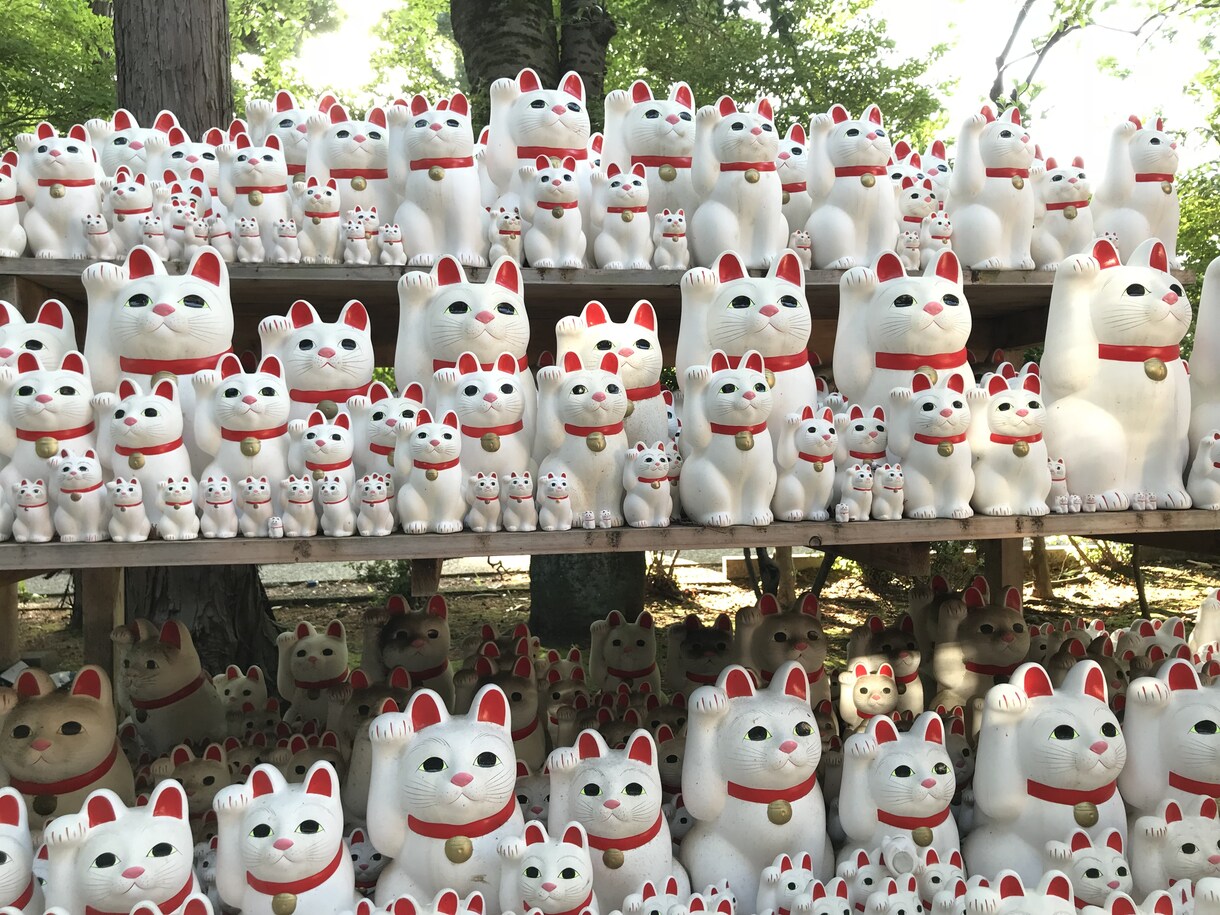 旅行先が決まっている方へ！最適な予約方法を教えます 安く行きたい！失敗したくない。等 イメージ1