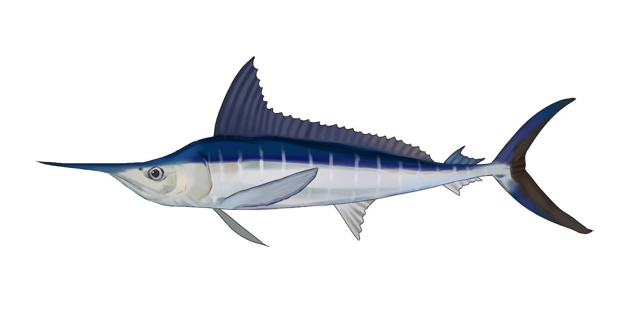 論文への使用OK！リアルな魚のイラスト描きます 論文やポスターなどの挿絵に使用できる魚のイラストを作成します イメージ2