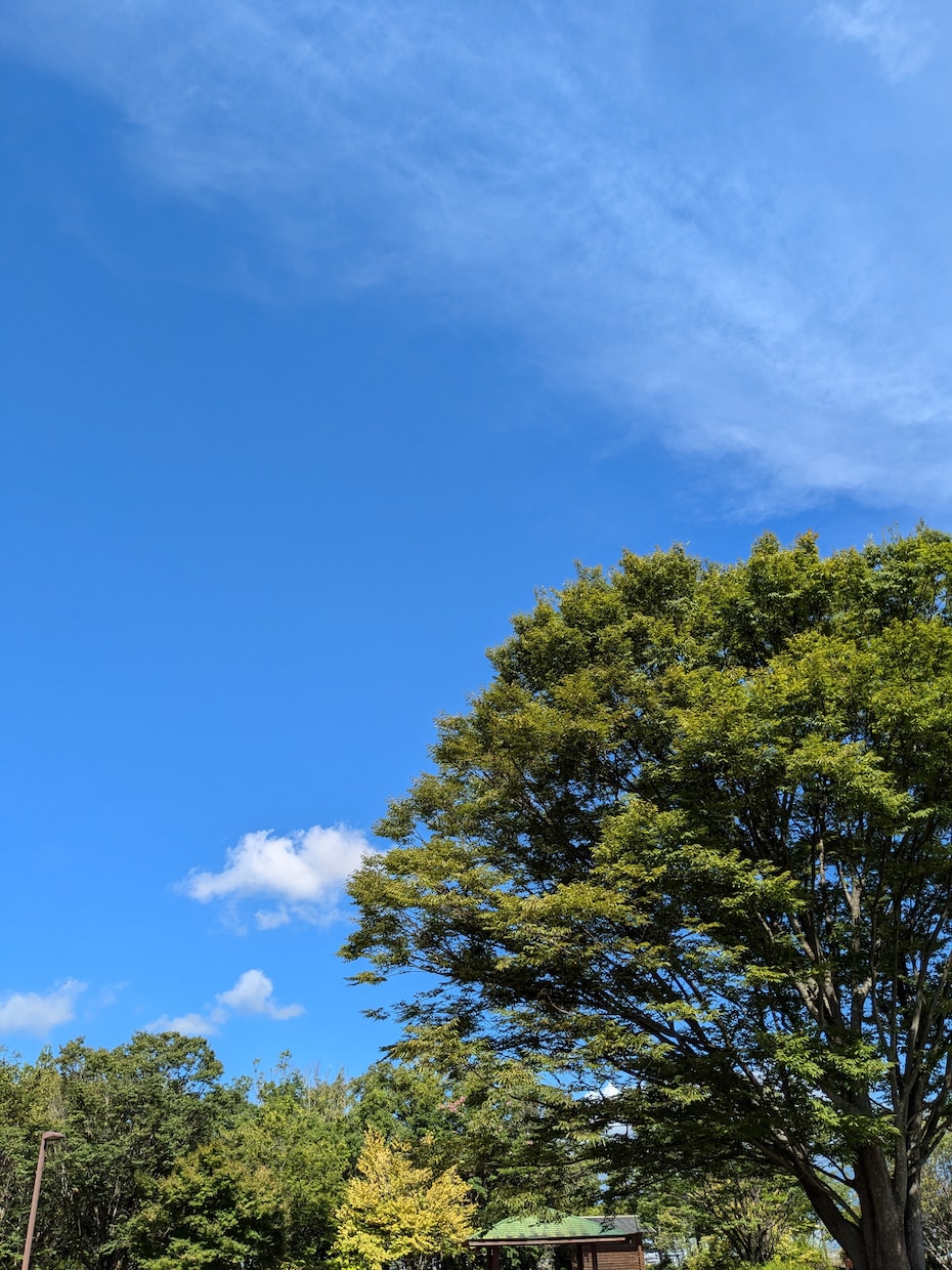 カード×カウンセリング⭐︎心の揺れに寄り添います カードからの「今のあなたに必要なメッセージ」をお届け イメージ2