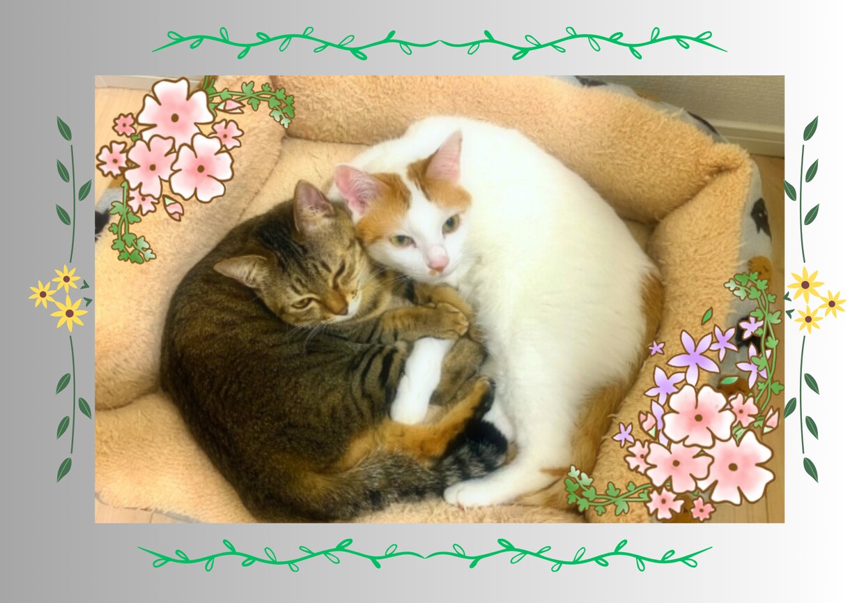 ペットの写真をアレンジしてご提供いたします ペットの写真をさらに可愛らしく、または面白く画像加工します♪ イメージ5