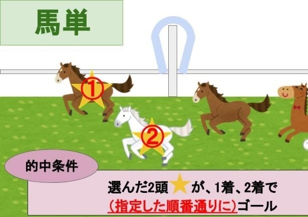 馬単、馬連●少ない点数、投資で的中します １０年の統計で編み出した競馬予想法 イメージ1