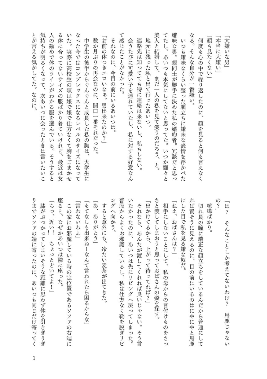 廉価版、ご希望の小説を書きます ご依頼の小説を書きます。自分好みの小説が欲しい方へ。 イメージ1