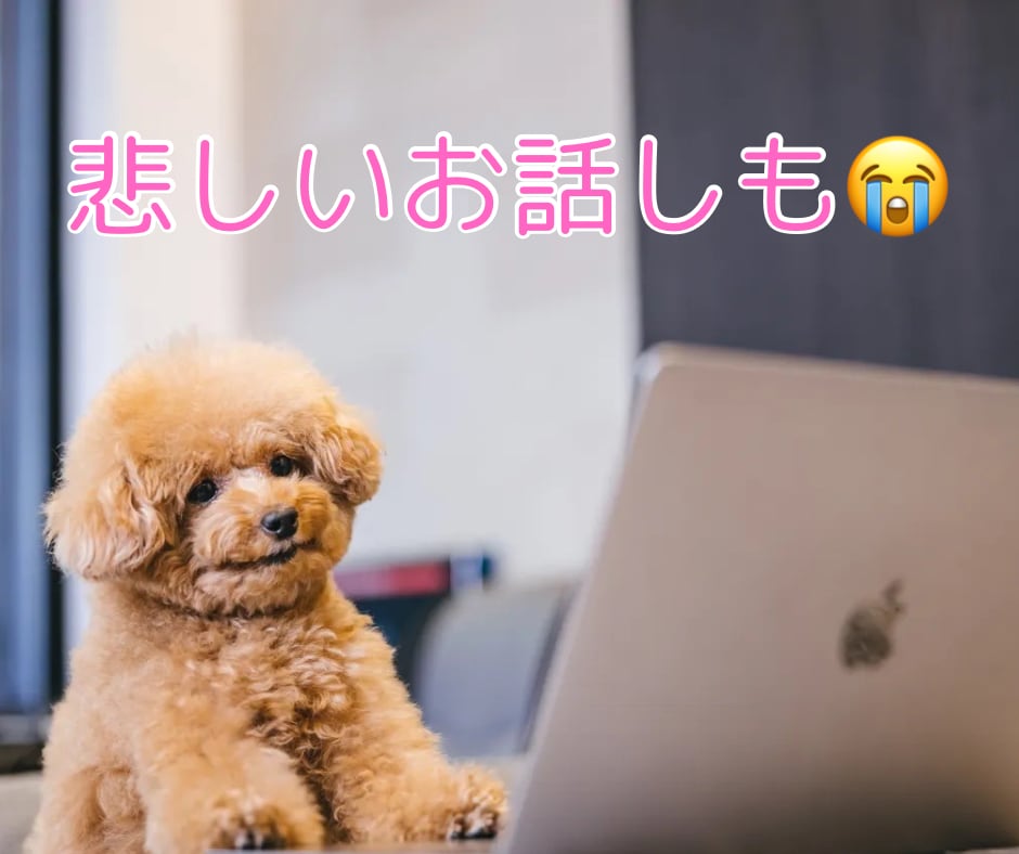 男性限定♡癒しボイスOLがどんなお話しも聞きます 雑談♡恋愛♡愚痴♡仕事のお悩み等なんでも！ イメージ7