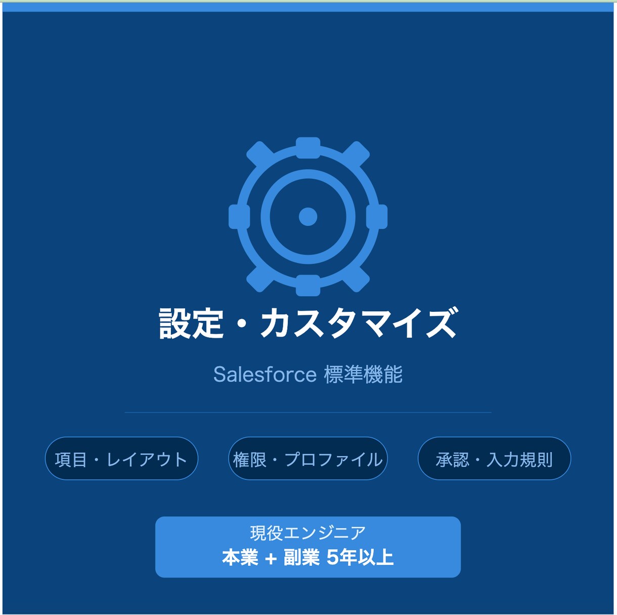 Salesforceの設定・カスタマイズをします やりたいことを教えてください！最適な設定を提案・実施します！ イメージ1