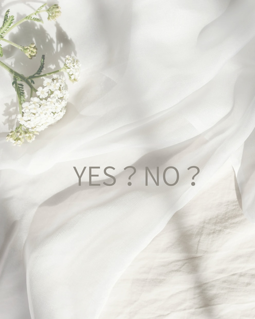 YES？NO？占います 迷ったときにYESかNOでサクッと占い イメージ1