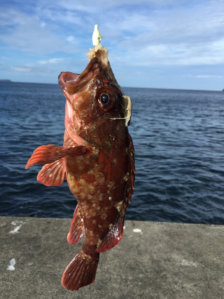 釣り初心者の「もっと釣りたい」悩みを解決します 釣り歴35年の釣りメディア編集長が相談に乗ります！ イメージ3