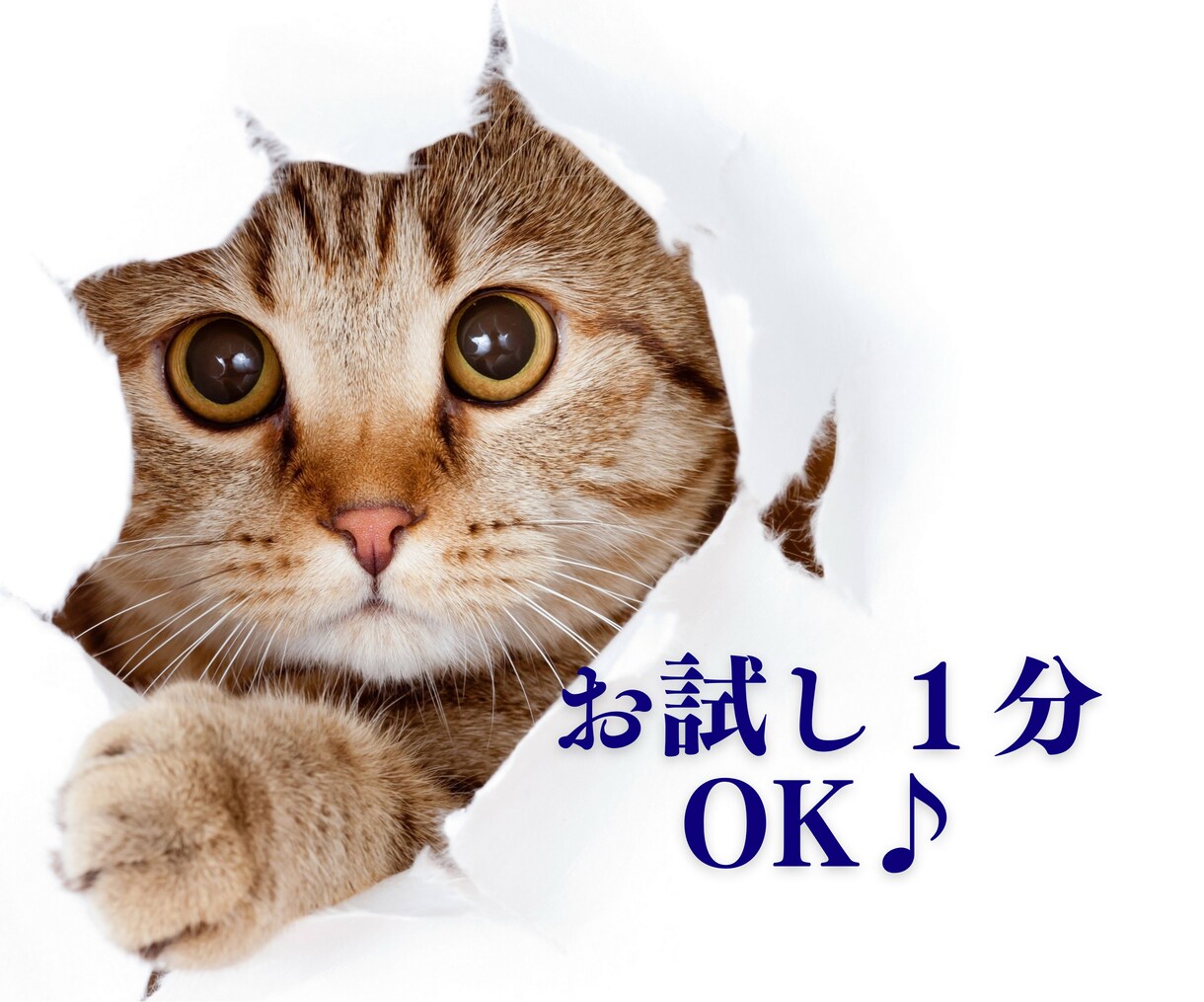 そばにいるよ♡ 話したいに 寄添います 心のホコリやチリを吐き出すことを日常に♡ イメージ7