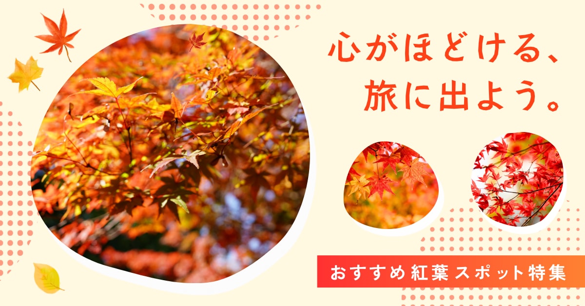バナーなどWeb画像制作いたします Canvaを使用して伝わる画像を作成いたします！ イメージ10