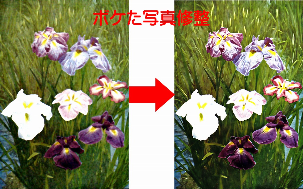 ピントが合わずにぼやけた写真を鮮明に修正します 指定の部分の修正も可能です。OP:BIGサイズ対応 イメージ2