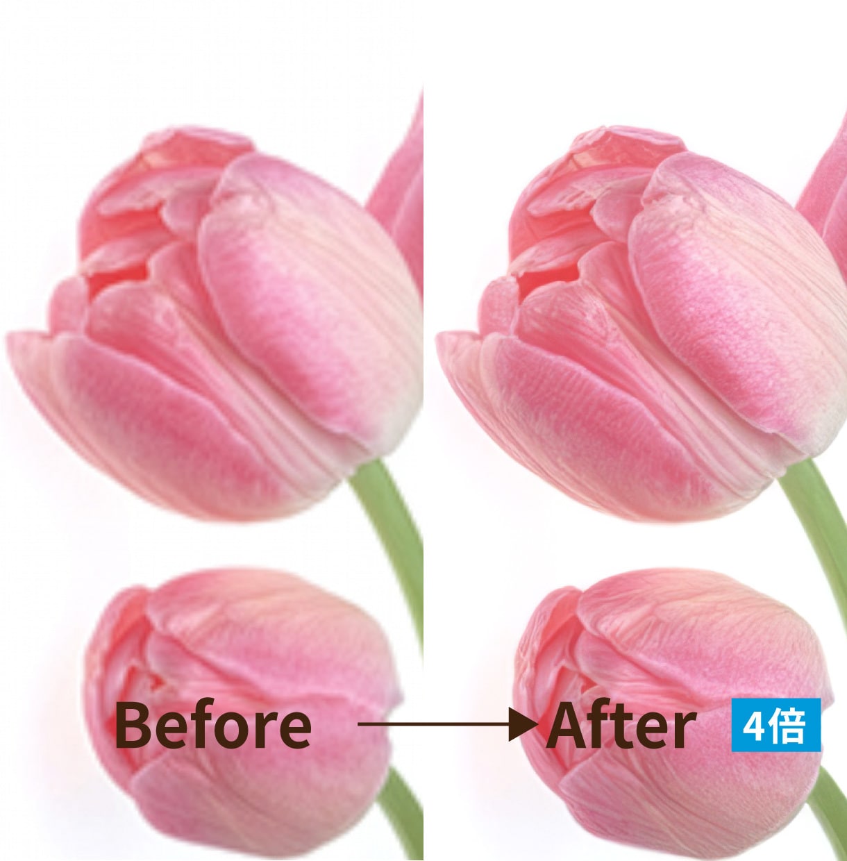 低画質・小さい写真を自然にくっきり高画質化します AI×プロレタッチで写真を高解像度化 イメージ7