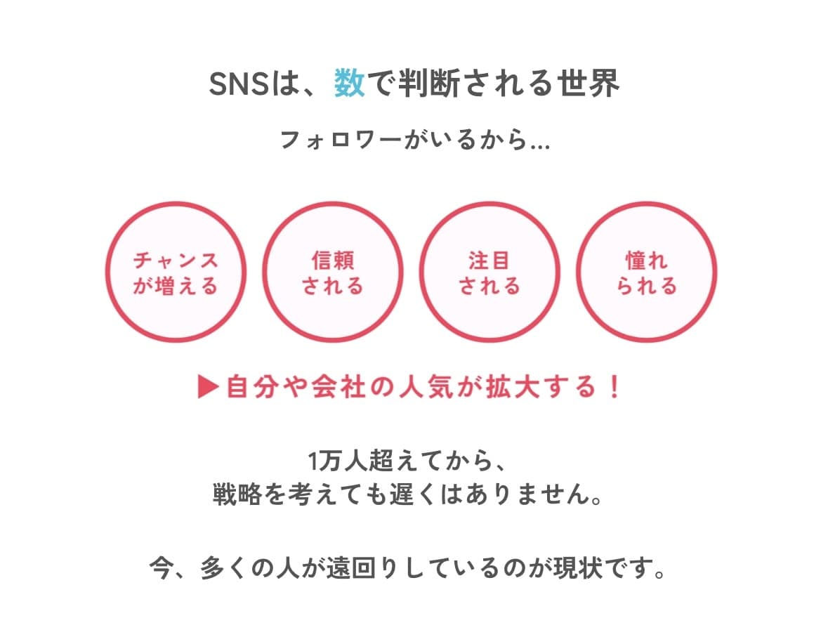 安心安全に日本人アクティブフォロワー増やします 「インスタで人気のサービスがココナラに進出！」10日間 イメージ5