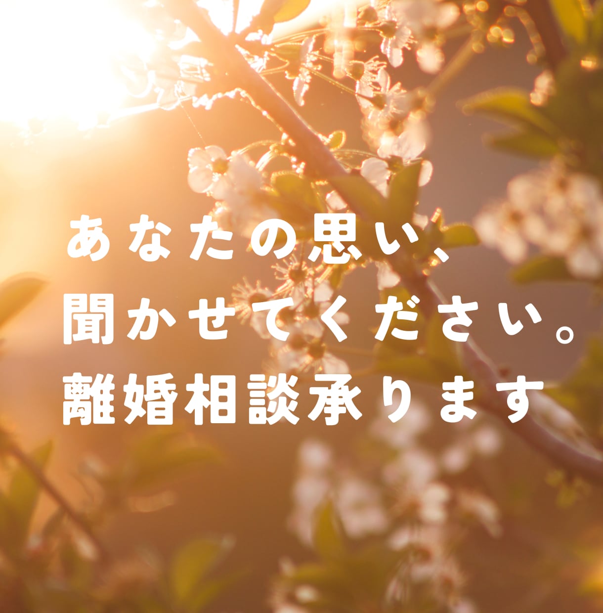 あなたの離婚のお悩みお聞きします 離婚経験者があなたの今後に向けて、全力サポートいたします イメージ1