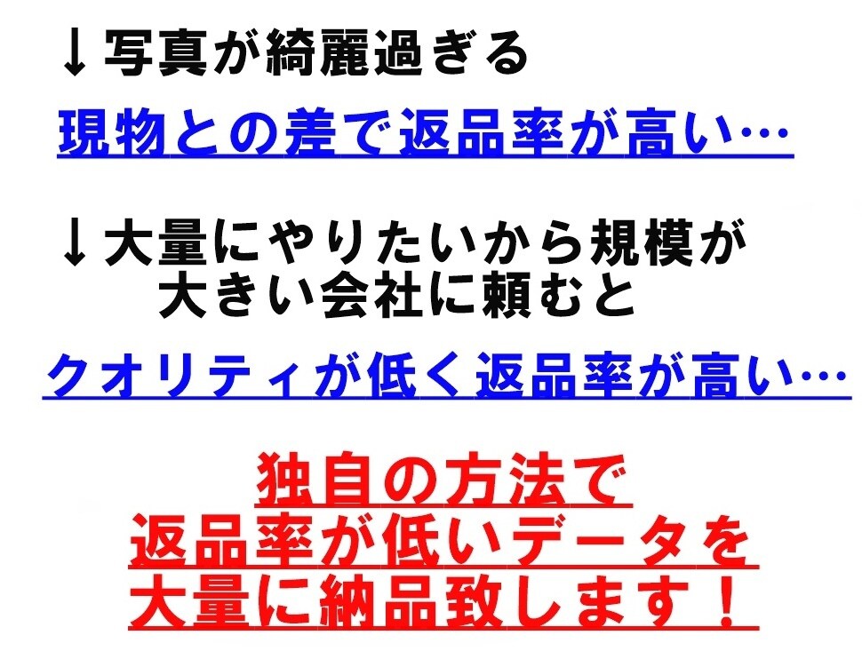 他ではない独自のデータ作りで返品率を下げています 他ではやっていない方法論を採用しているデータ作りを致します！ イメージ1